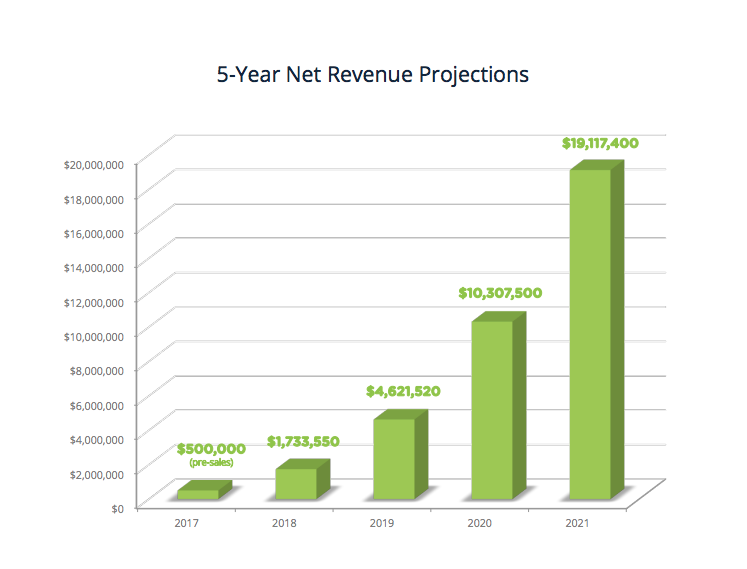 5-Year Net Revenue Projections for business planning financial statements 